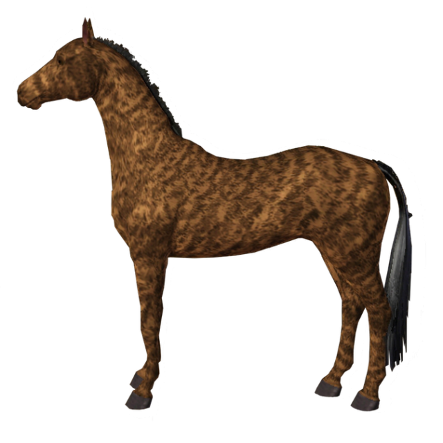 Equus CCDatabase Brindle Horse Marking